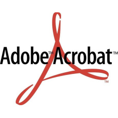 Acrobat Pro 2020 MP ENG NEW COM Lic 1+ (540)