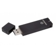 Kingston Flash Disk IronKey 32GB Basic S250 Encrypted USB 2.0 FIPS 140-2 Level 3