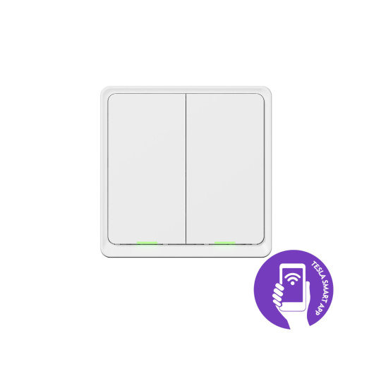 Tesla Smart Switch Dual ZigBee - polepeno